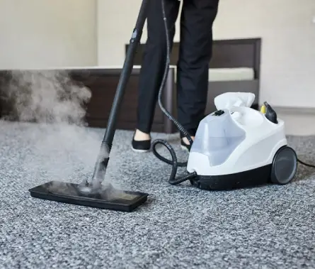 Carpet Steam Cleaning